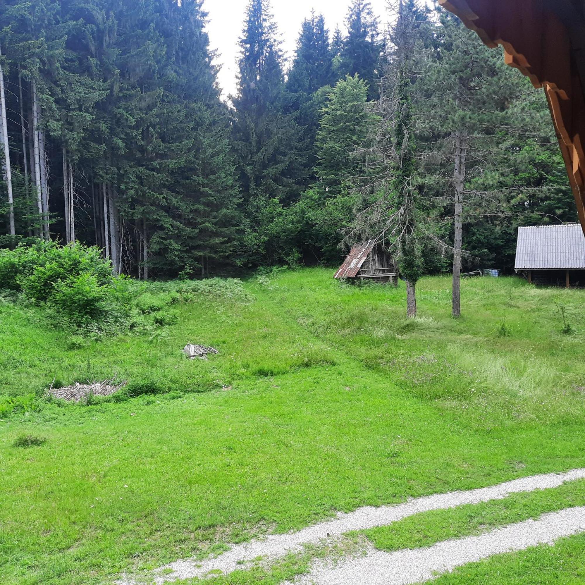 Koca V Gozdu, Forest House Near Блед Экстерьер фото