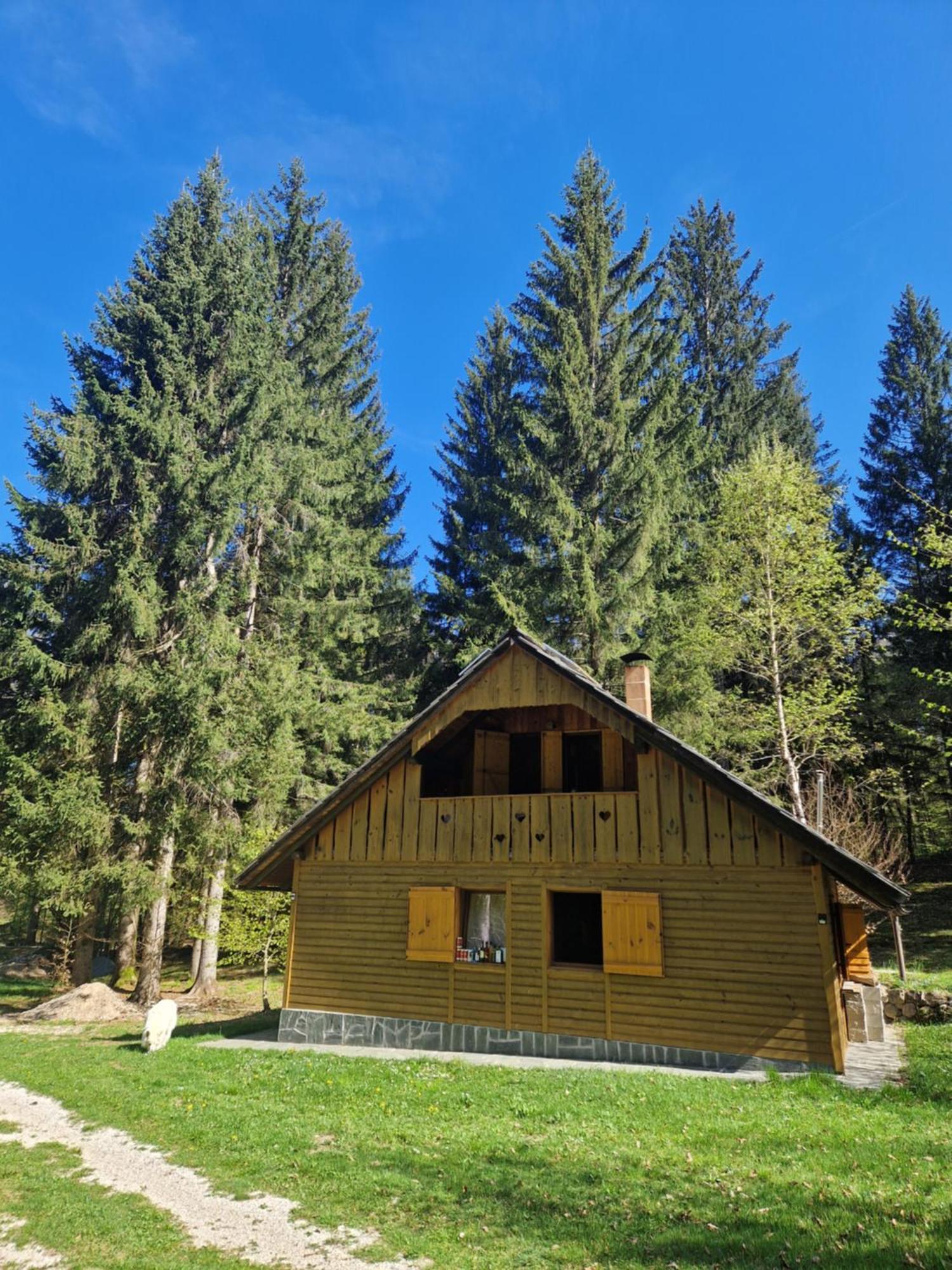 Koca V Gozdu, Forest House Near Блед Экстерьер фото